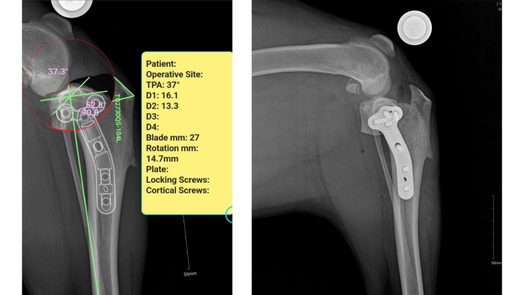 TPLO Proximal Tibia C0088
