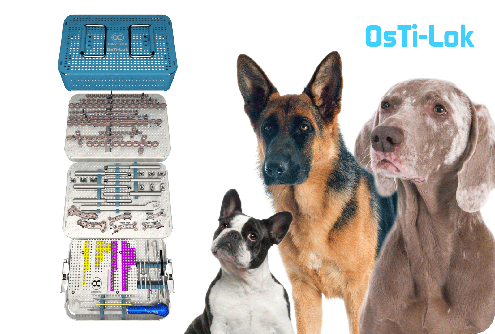 OsTi-Lok system for Fractures, Deformities & Arthrodesis in animals