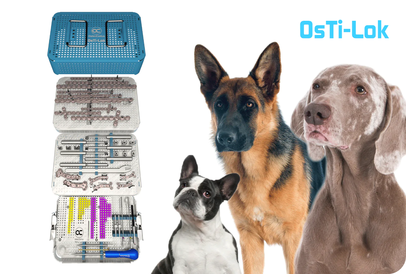 OsTi-Lok veterinary orthopedic implant system